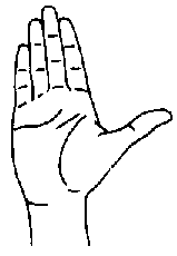 B handshape illustrated