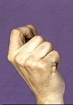 initial position of [flick index finger] handshape illustrated