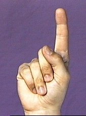 final position of [flick index finger] handshape illustrated