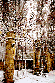 Partially open gates
