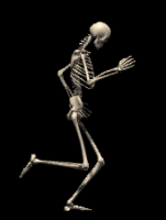 Walking skeleton