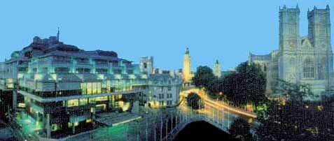 The Uranium Institute (London)