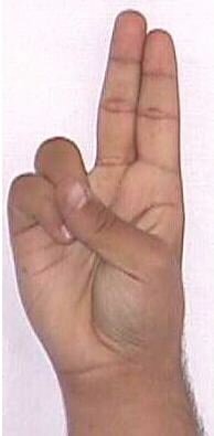 Arabic fingerspelling for the letter 'taa'